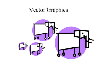 Vector Graphics 
