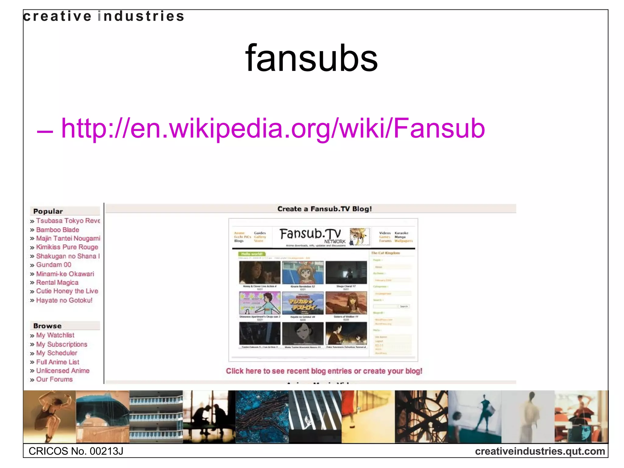 fansubs http://en.wikipedia.org/wiki/Fansub   