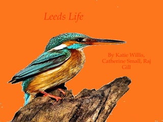 Leeds Life By Katie Willis, Catherine Small, Raj Gill 