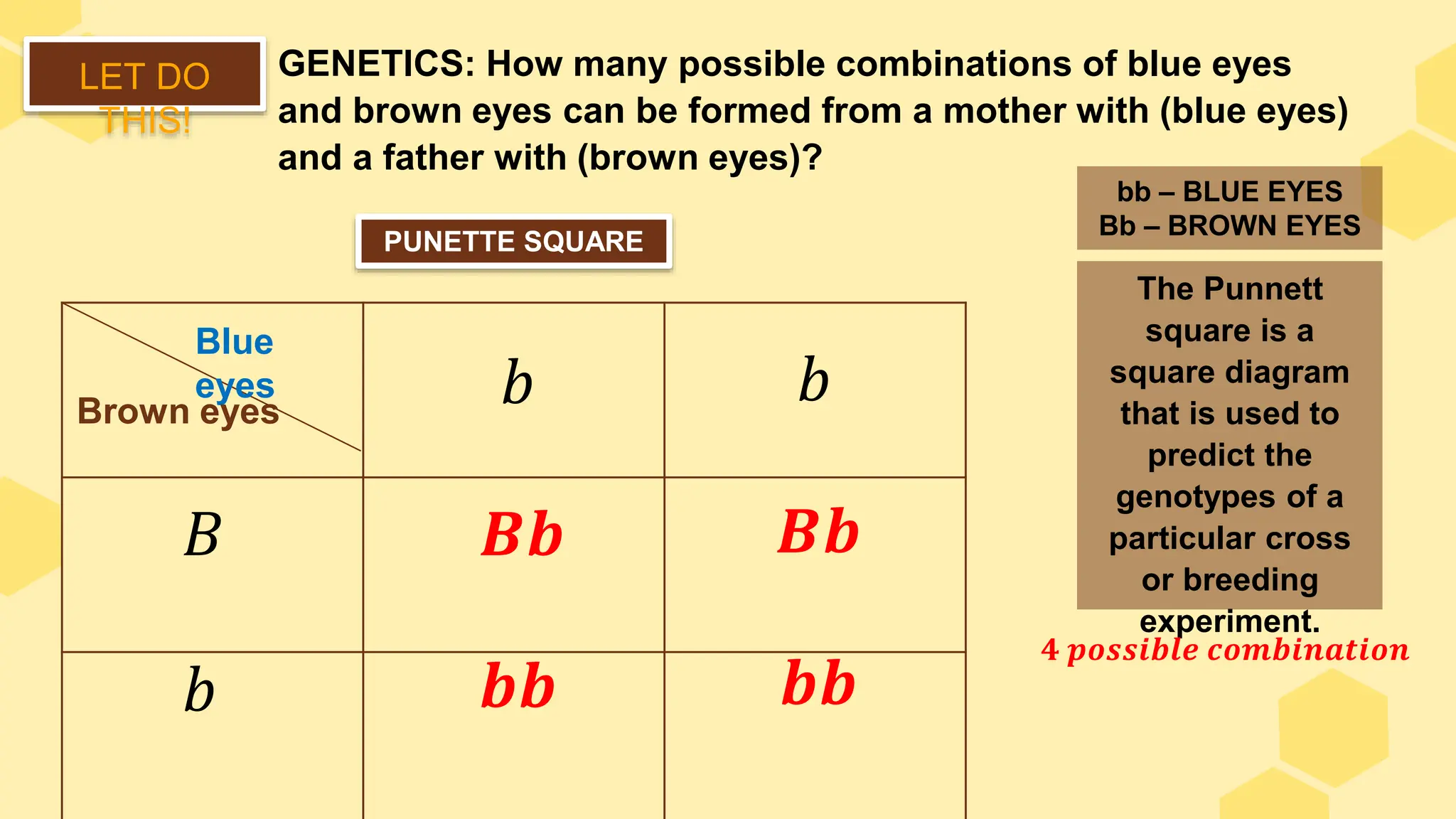 Fundamental counting principle ppt lesson 2 ppt