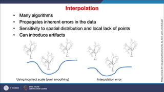 Interpolation
• Many algorithms
• Propagates inherent errors in the data
• Sensitivity to spatial distribution and local lack of points
• Can introduce artifacts
Using incorrect scale (over smoothing) Interpolation error
https://www.dnr.wa.gov/publications/bc_fp_lidar_pres_moskal.ppt
 