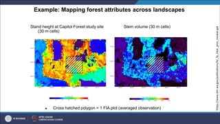 Example: Mapping forest attributes across landscapes
Stand height at Capitol Forest study site
(30 m cells)
Stem volume (30 m cells)
 Cross hatched polygon = 1 FIA plot (averaged observation)
https://www.dnr.wa.gov/publications/bc_fp_lidar_pres_moskal.ppt
 