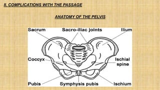 II. COMPLICATIONS WITH THE PASSAGE
ANATOMY OF THE PELVIS
 