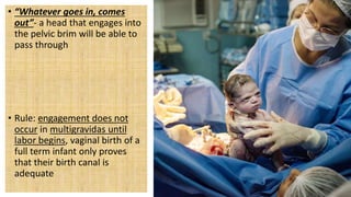 • “Whatever goes in, comes
out”- a head that engages into
the pelvic brim will be able to
pass through
• Rule: engagement does not
occur in multigravidas until
labor begins, vaginal birth of a
full term infant only proves
that their birth canal is
adequate
 