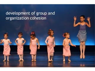 development of group and organization cohesion 