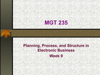 MGT 235 Planning, Process, and Structure in Electronic Business Week 9 