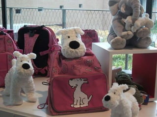 Week end magique en belgique