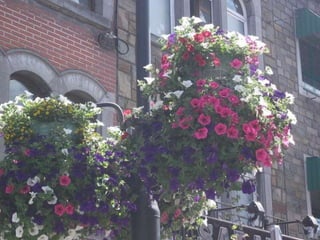 Week end magique en belgique