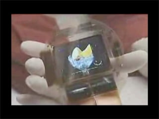 Week Thirteen - What\'s Next