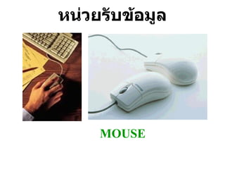 หน่วยรับข้อมูล MOUSE 