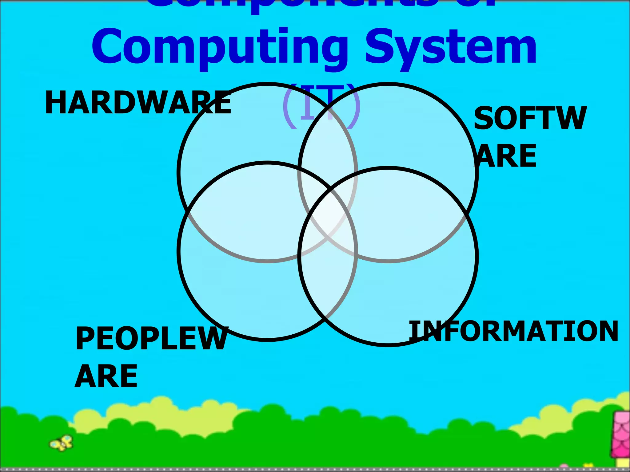 Components of Computing System  (IT) SOFTWARE INFORMATION HARDWARE PEOPLEWARE 