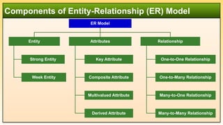 Components of Entity-Relationship (ER) Model
ER Model
Entity
Strong Entity
Week Entity
Attributes
Key Attribute
Composite Attribute
Multivalued Attribute
Derived Attribute
Relationship
One-to-One Relationship
One-to-Many Relationship
Many-to-One Relationship
Many-to-Many Relationship
 