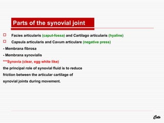  Facies articularis (caput-fossa) and Cartilago articularis (hyaline)
 Capsula articularis and Cavum articulare (negative press)
- Membrana fibrosa
- Membrana synovialis
***Synovia (clear, egg white like)
the principal role of synovial fluid is to reduce
friction between the articular cartilage of
synovial joints during movement.
Coto
Parts of the synovial joint
 