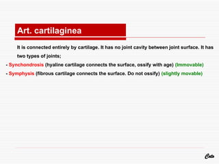 It is connected entirely by cartilage. It has no joint cavity between joint surface. It has
two types of joints;
- Synchondrosis (hyaline cartilage connects the surface, ossify with age) (Immovable)
- Symphysis (fibrous cartilage connects the surface. Do not ossify) (slightly movable)
Coto
Art. cartilaginea
 