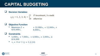 integerS programming OperaTIONS RESEARCH | PPTX