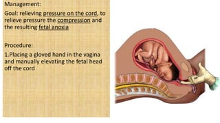 Management:
Goal: relieving pressure on the cord, to
relieve pressure the compression and
the resulting fetal anoxia
Procedure:
1.Placing a gloved hand in the vagina
and manually elevating the fetal head
off the cord
 