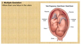 2. Multiple Gestation
>More than one fetus in the utero
 