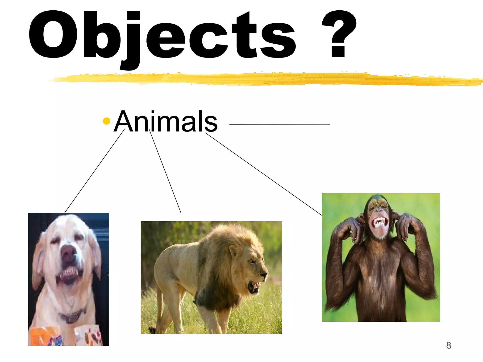 Objects ?
•Animals
8
 