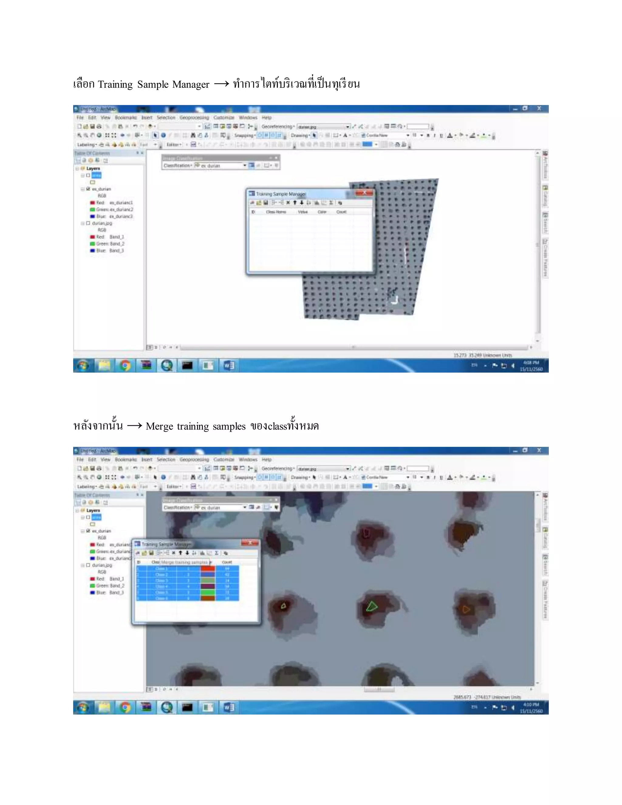 เลือก Training Sample Manager → ทาการไตท์บริเวณที่เป็นทุเรียน
หลังจากนั้น → Merge training samples ของclassทั้งหมด
 