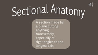 A section made by
a plane cutting
anything
transversely,
especially at
right angles to the
longest axis.
 