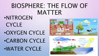 BIOSPHERE: THE FLOW OF
MATTER
•NITROGEN
CYCLE
•OXYGEN CYCLE
•CARBON CYCLE
•WATER CYCLE
 