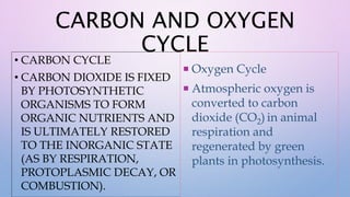 CARBON AND OXYGEN
CYCLE
• CARBON CYCLE
• CARBON DIOXIDE IS FIXED
BY PHOTOSYNTHETIC
ORGANISMS TO FORM
ORGANIC NUTRIENTS AND
IS ULTIMATELY RESTORED
TO THE INORGANIC STATE
(AS BY RESPIRATION,
PROTOPLASMIC DECAY, OR
COMBUSTION).
 Oxygen Cycle
 Atmospheric oxygen is
converted to carbon
dioxide (CO2) in animal
respiration and
regenerated by green
plants in photosynthesis.
 