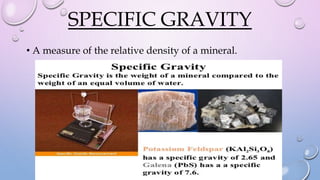 SPECIFIC GRAVITY
• A measure of the relative density of a mineral.
 