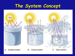 The System Concept
 