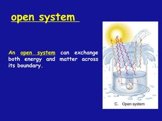 An open system can exchange
both energy and matter across
its boundary.
open system
 
