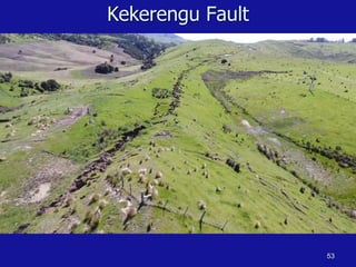 Kekerengu Fault
53
 