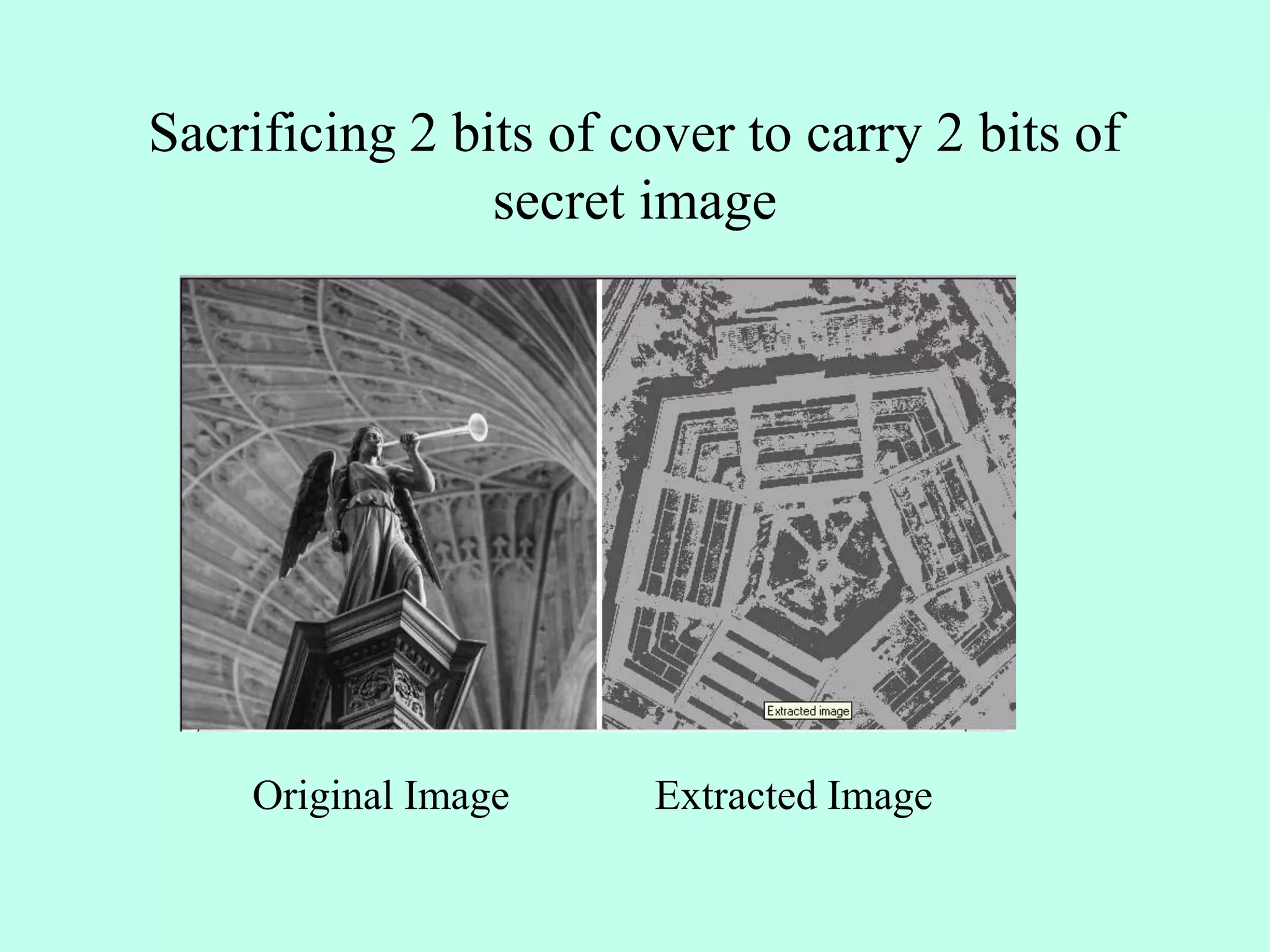 Sacrificing 2 bits of cover to carry 2 bits of
secret image
Original Image Extracted Image
 