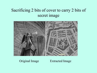 Sacrificing 2 bits of cover to carry 2 bits of
secret image
Original Image Extracted Image
 