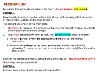 Week 1-5 Anatomy and Physiology of Cardiovascular system_ pdf | PDF