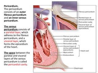 Week 1-5 Anatomy and Physiology of Cardiovascular system_ pdf | PDF