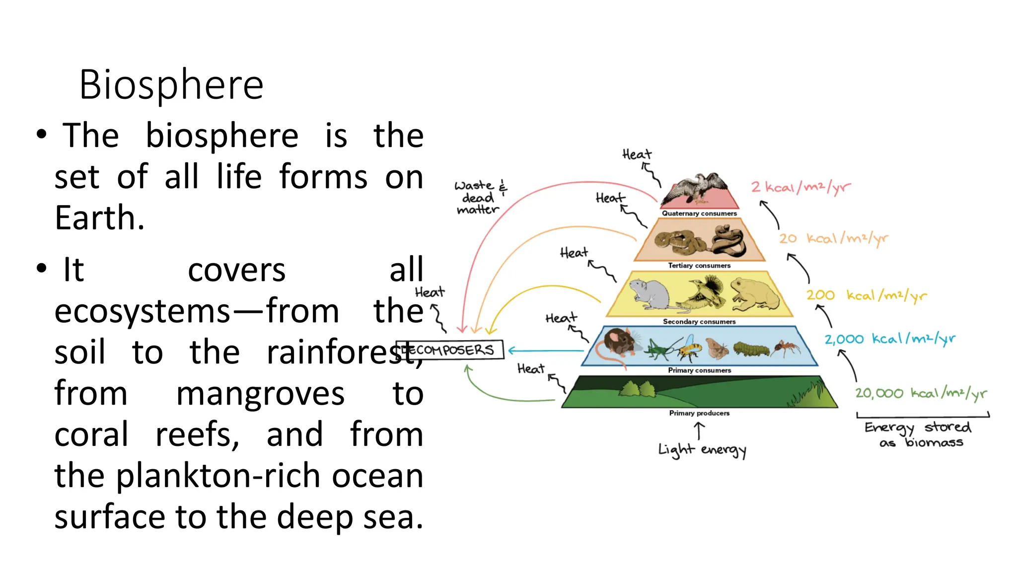 Biosphere
• The biosphere is the
set of all life forms on
Earth.
• It covers all
ecosystems—from the
soil to the rainforest,
from mangroves to
coral reefs, and from
the plankton-rich ocean
surface to the deep sea.
 