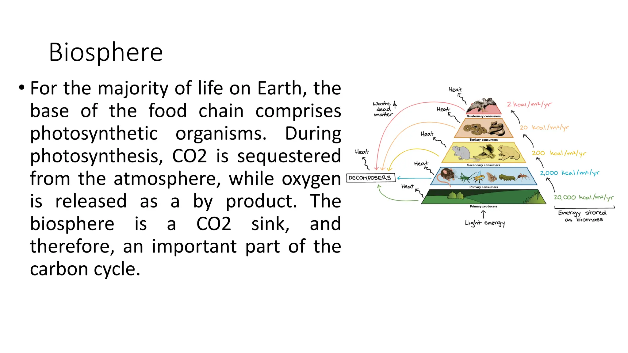 Biosphere
• For the majority of life on Earth, the
base of the food chain comprises
photosynthetic organisms. During
photosynthesis, CO2 is sequestered
from the atmosphere, while oxygen
is released as a by product. The
biosphere is a CO2 sink, and
therefore, an important part of the
carbon cycle.
 