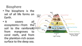 week1-d3-earth-system.pdf