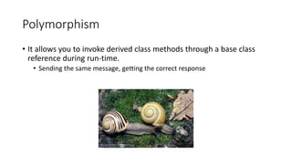 Polymorphism
• It allows you to invoke derived class methods through a base class
reference during run-time.
• Sending the...