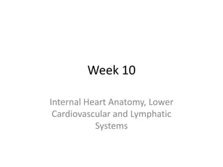 Week 10
Internal Heart Anatomy, Lower
Cardiovascular and Lymphatic
Systems
 