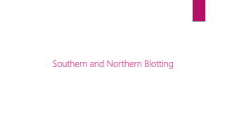 Southern and Northern Blotting
 