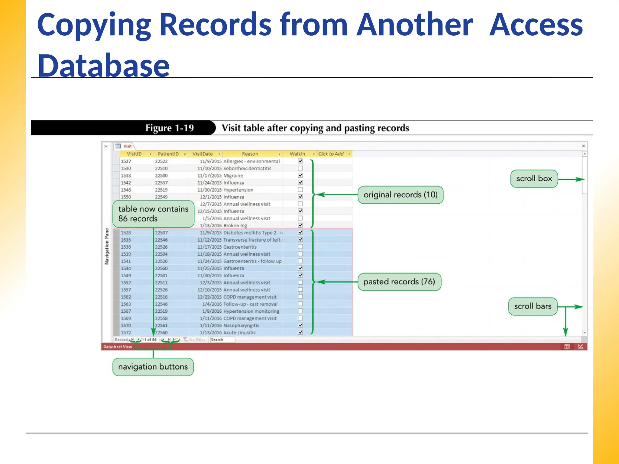 XP
XP
XP
Copying Records from Another Access
Database
 