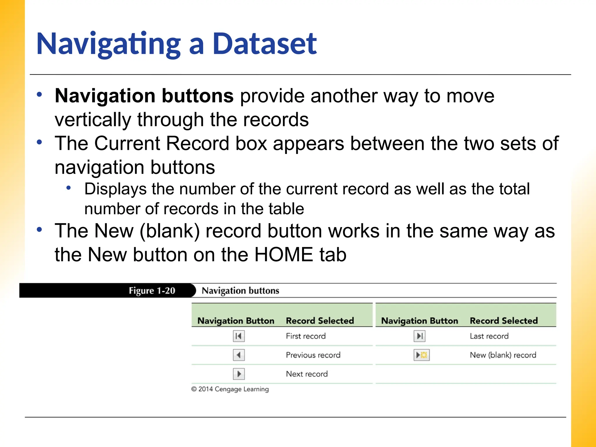 XP
XP
XP
Navigating a Dataset
• Navigation buttons provide another way to move
vertically through the records
• The Current Record box appears between the two sets of
navigation buttons
• Displays the number of the current record as well as the total
number of records in the table
• The New (blank) record button works in the same way as
the New button on the HOME tab
 