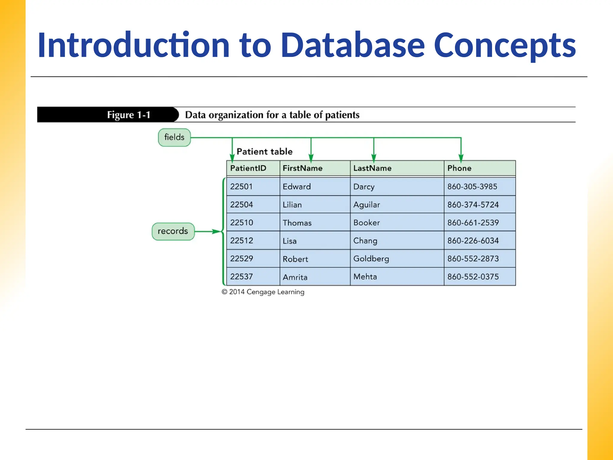 XP
XP
XP
Introduction to Database Concepts
 