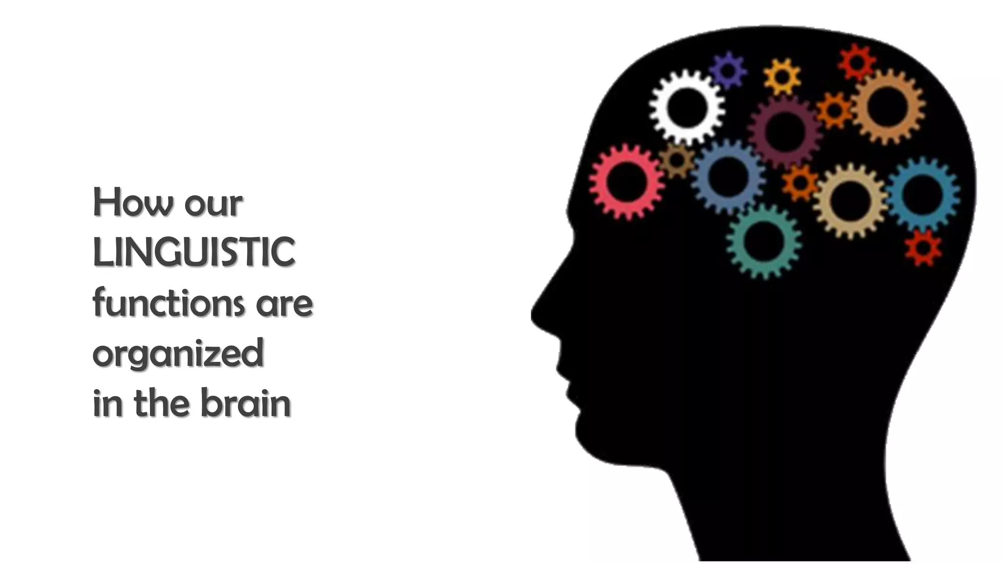 How our
LINGUISTIC
functions are
organized
in the brain
 