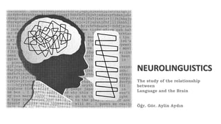 NEUROLINGUISTICS
The study of the relationship
between
Language and the Brain
Öğr. Gör. Aylin Aydın
 