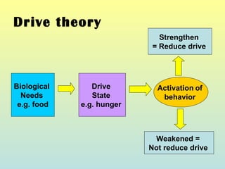 Biological 
Needs 
e.g. food 
Drive 
State 
e.g. hunger 
Strengthen 
= Reduce drive 
Activation of 
behavior 
Weakened = 
Not reduce drive 
Drive theory 
 