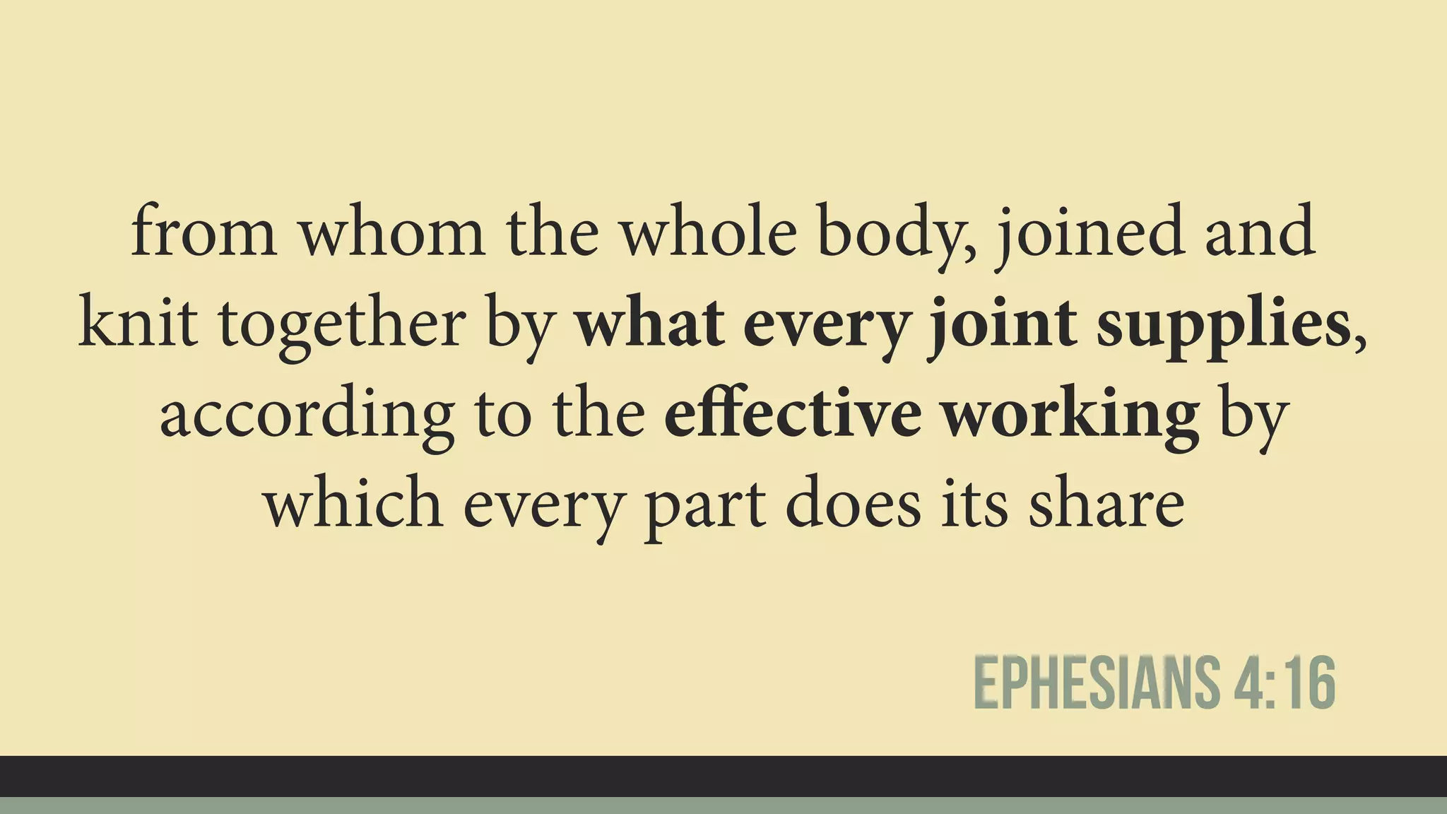 from whom the whole body, joined and
knit together by what every joint supplies,
according to the eﬀective working by
which every part does its share
Ephesians 4:16
 