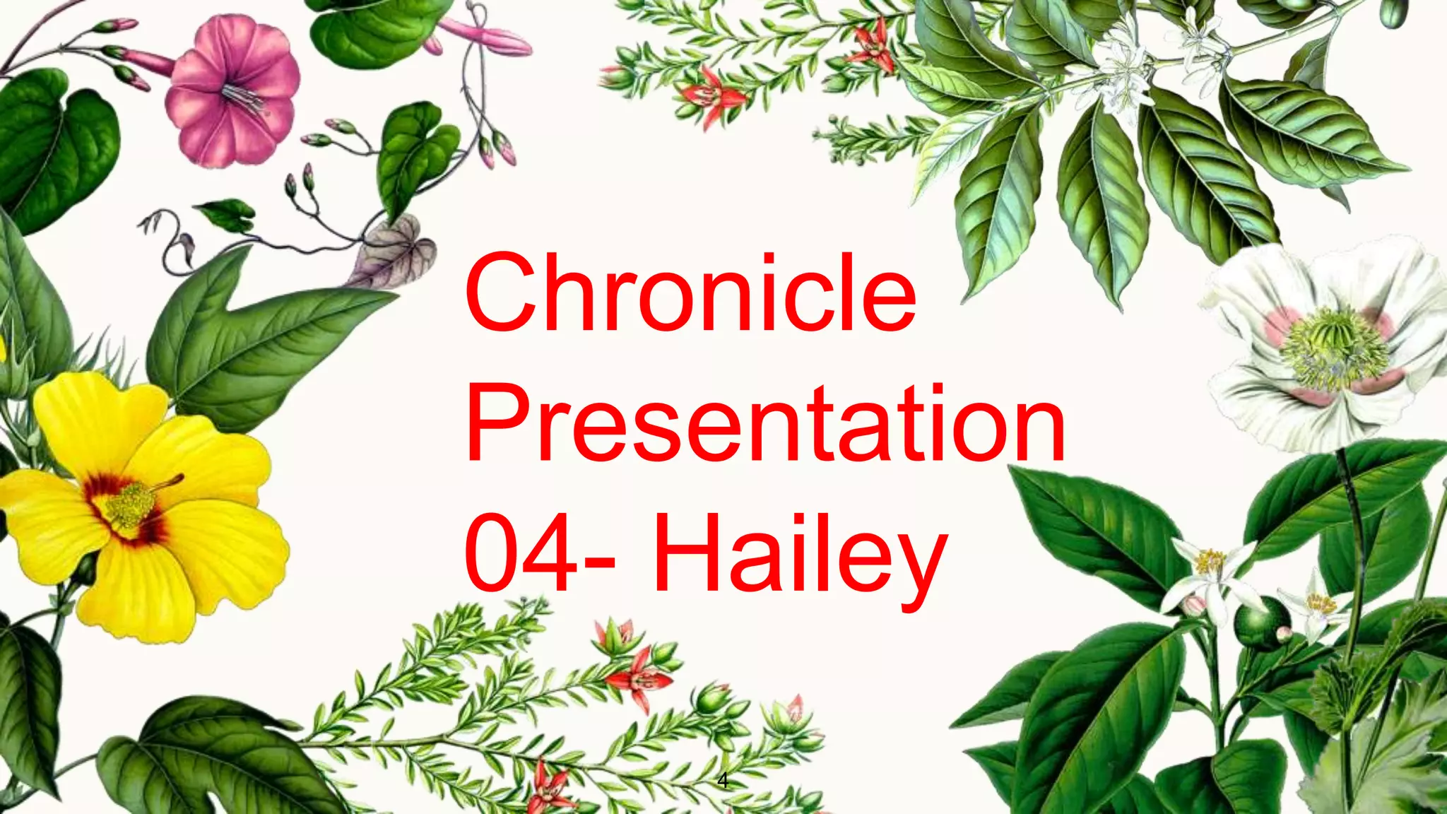 4
Chronicle
Presentation
04- Hailey
 