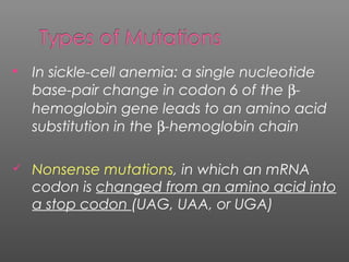  In sickle-cell anemia: a single nucleotide
base-pair change in codon 6 of the β-
hemoglobin gene leads to an amino acid
substitution in the β-hemoglobin chain
 Nonsense mutations, in which an mRNA
codon is changed from an amino acid into
a stop codon (UAG, UAA, or UGA)
 