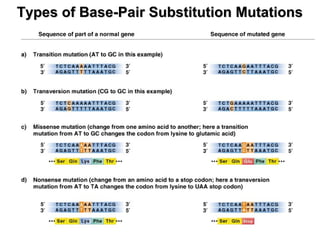 Types of Base-Pair Substitution MutationsTypes of Base-Pair Substitution Mutations
 